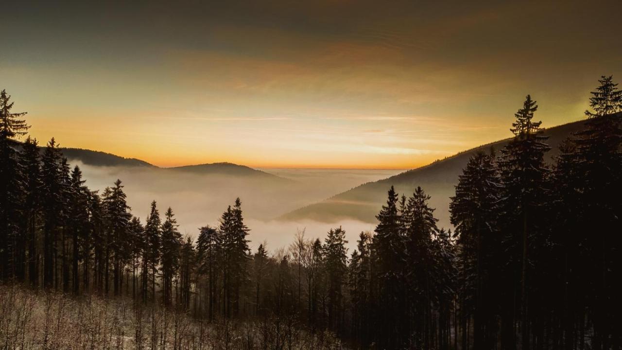 Chata Pod Mravenecnikem Villa Loučná nad Desnou Exteriör bild