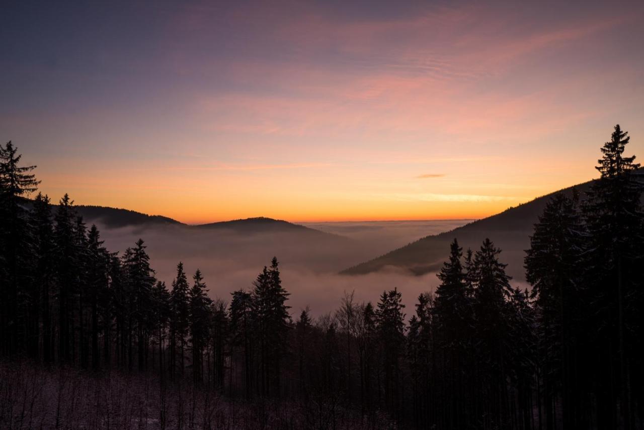 Chata Pod Mravenecnikem Villa Loučná nad Desnou Exteriör bild