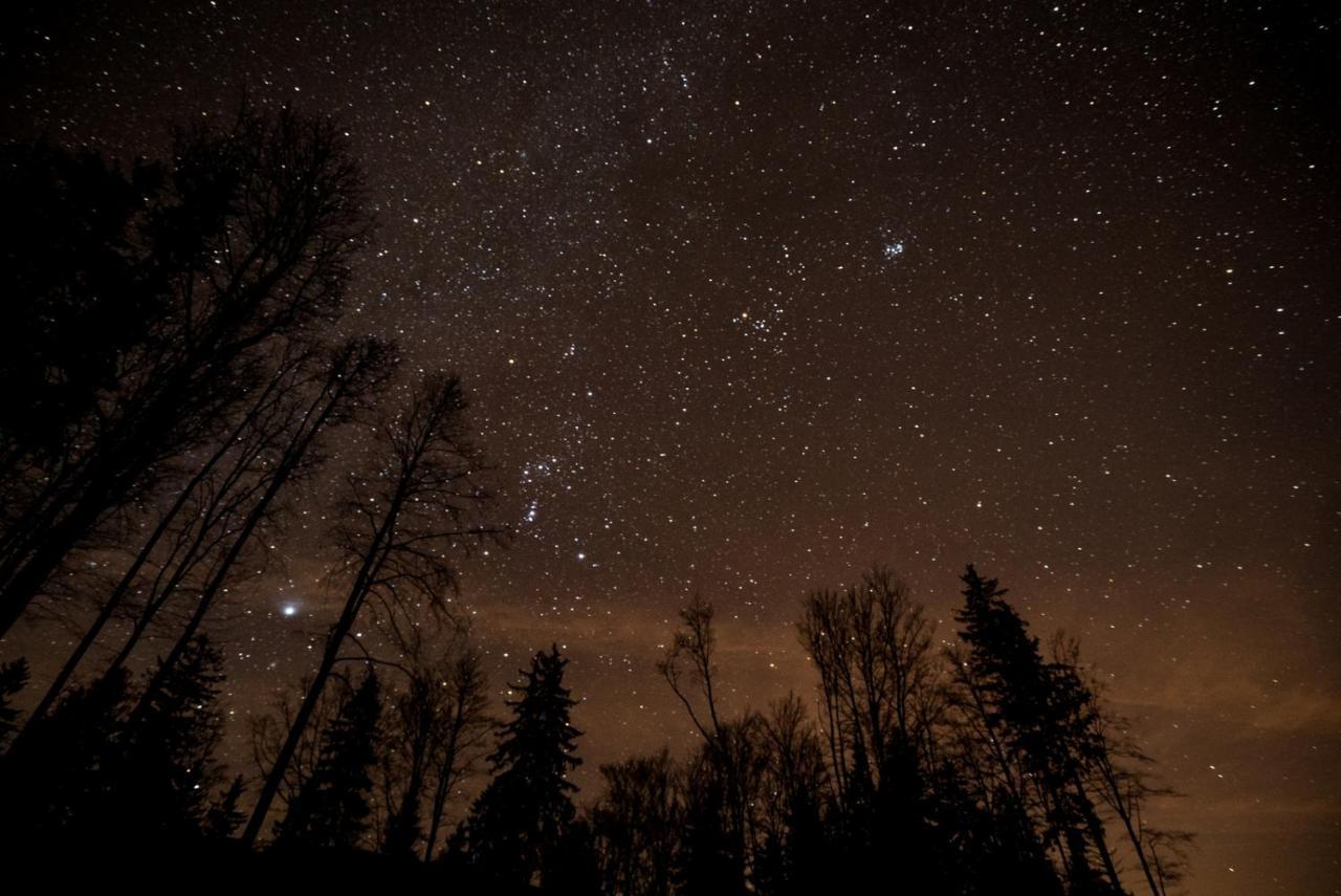 Chata Pod Mravenecnikem Villa Loučná nad Desnou Exteriör bild