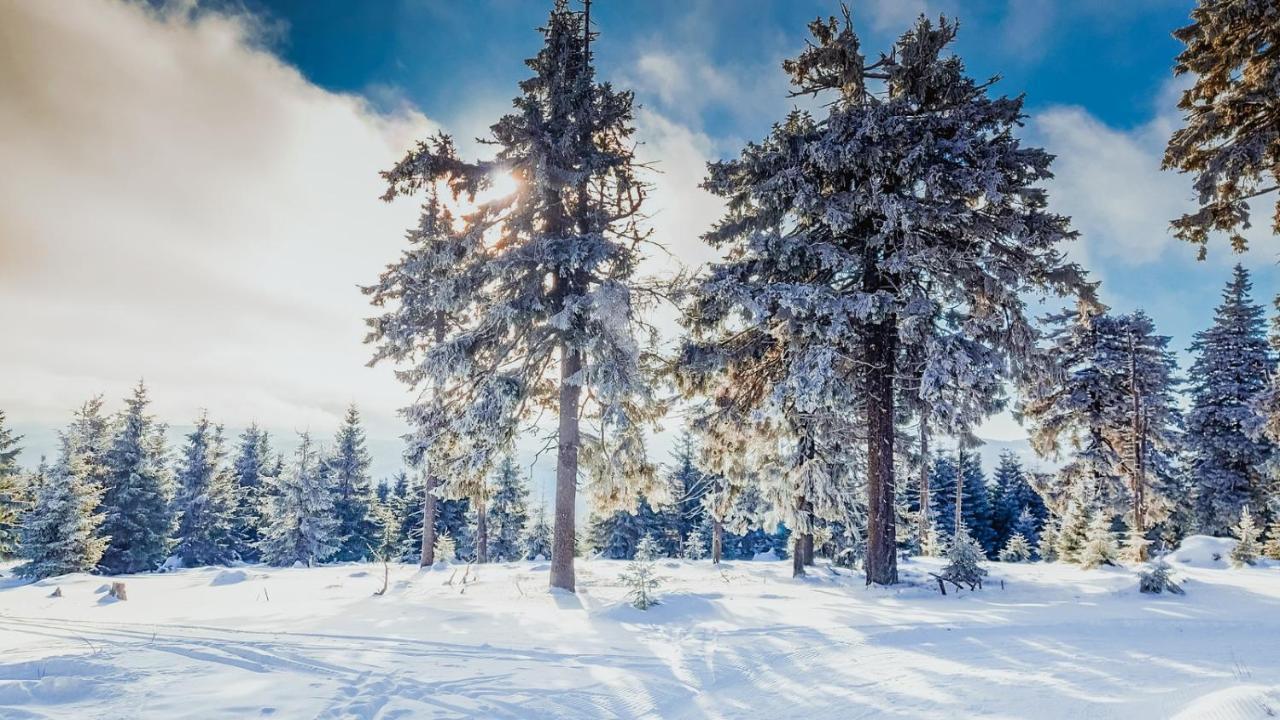 Chata Pod Mravenecnikem Villa Loučná nad Desnou Exteriör bild