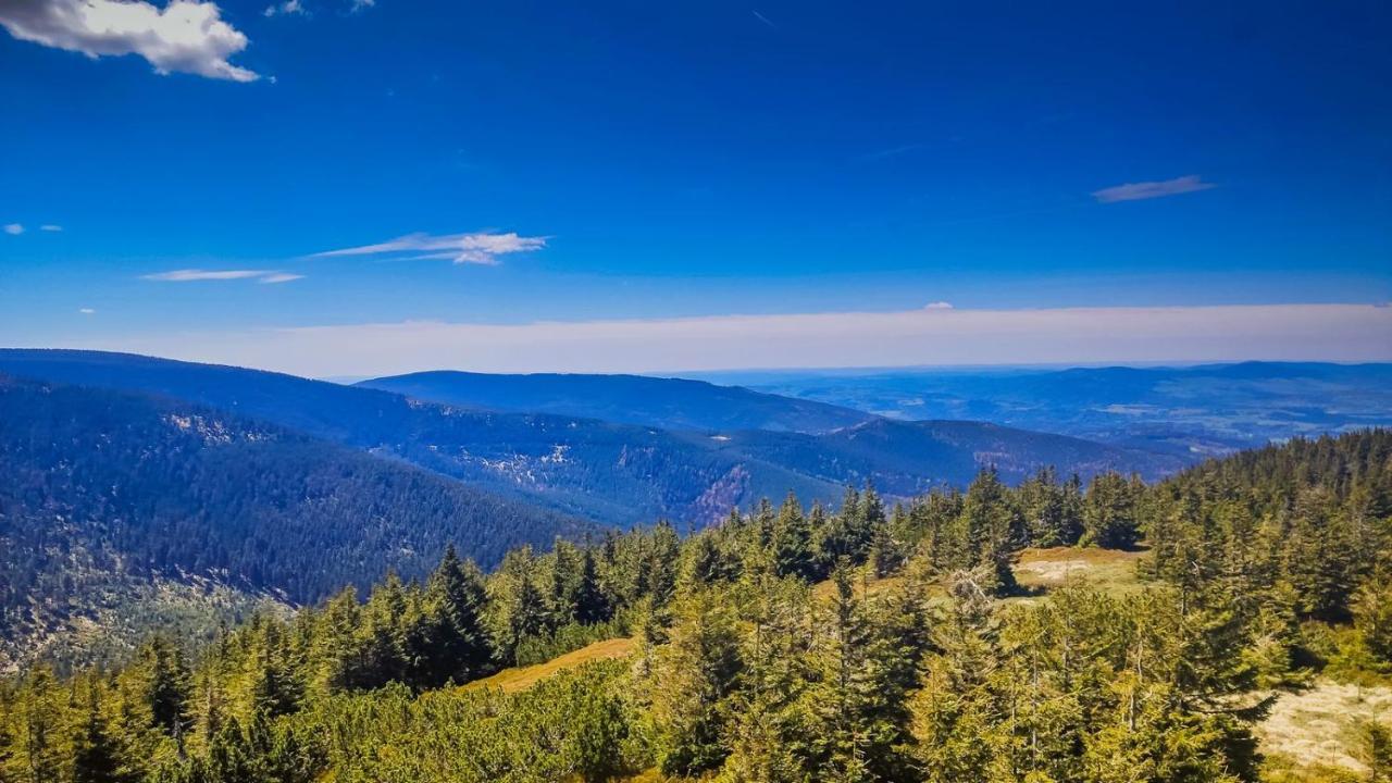 Chata Pod Mravenecnikem Villa Loučná nad Desnou Exteriör bild