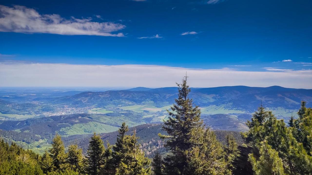 Chata Pod Mravenecnikem Villa Loučná nad Desnou Exteriör bild