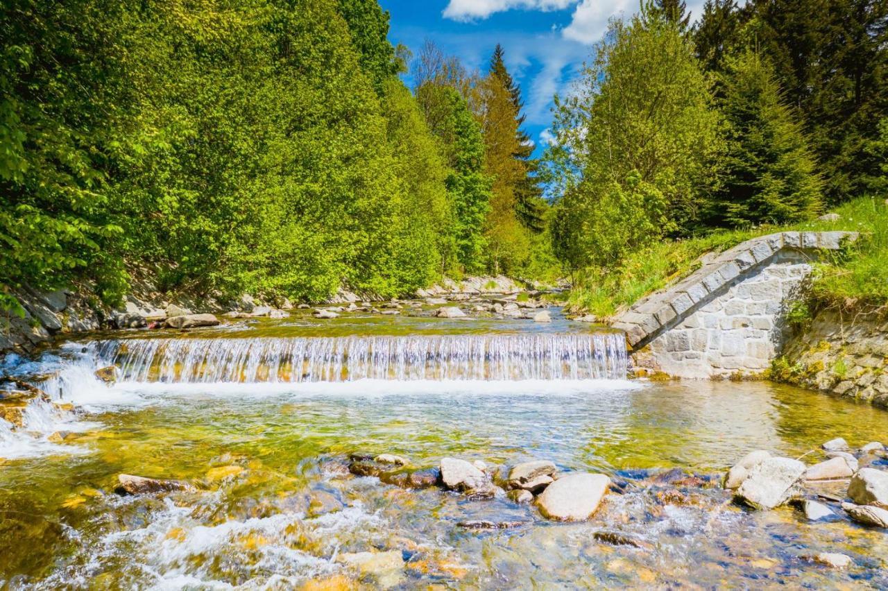 Chata Pod Mravenecnikem Villa Loučná nad Desnou Exteriör bild