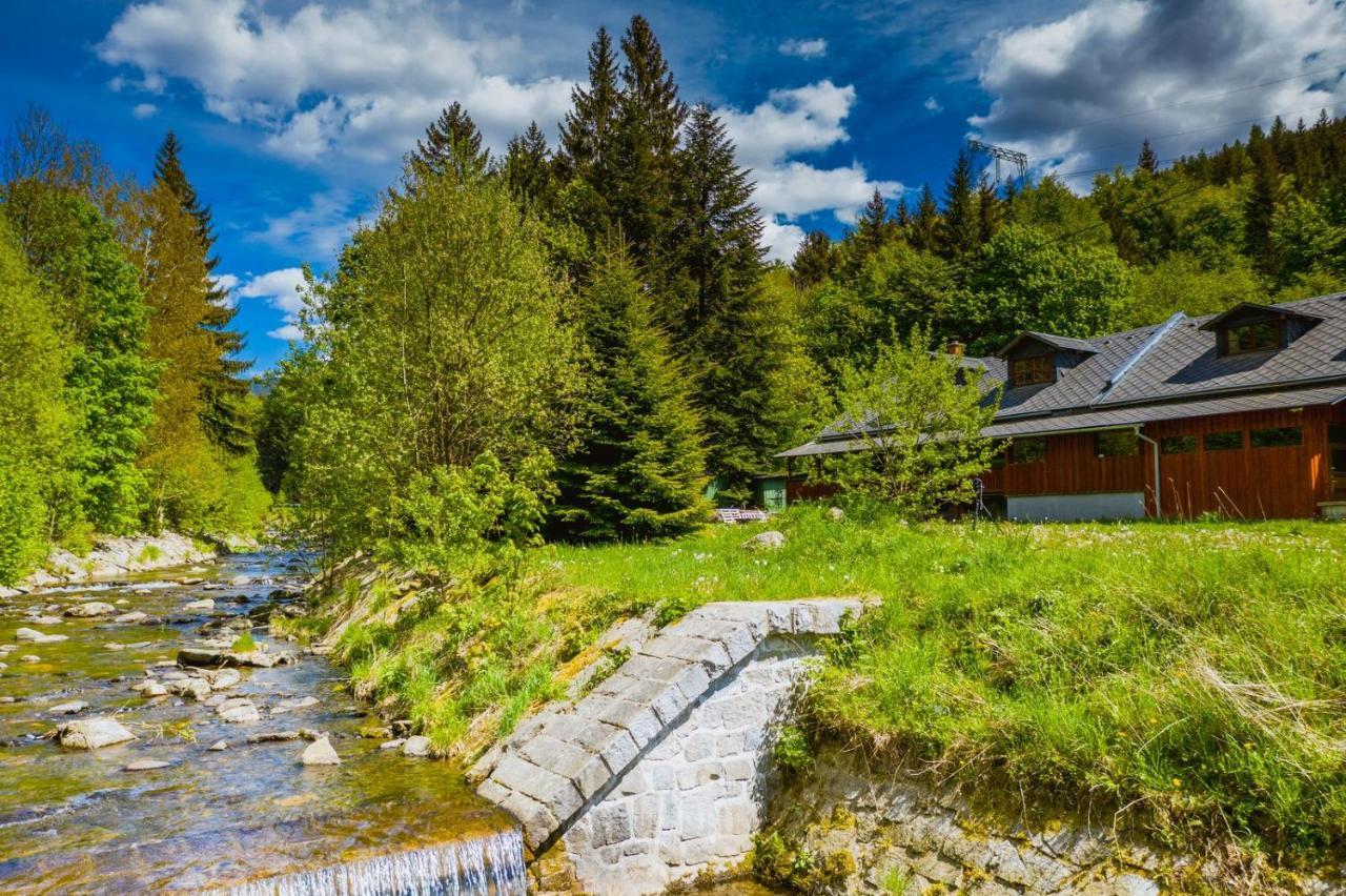 Chata Pod Mravenecnikem Villa Loučná nad Desnou Exteriör bild