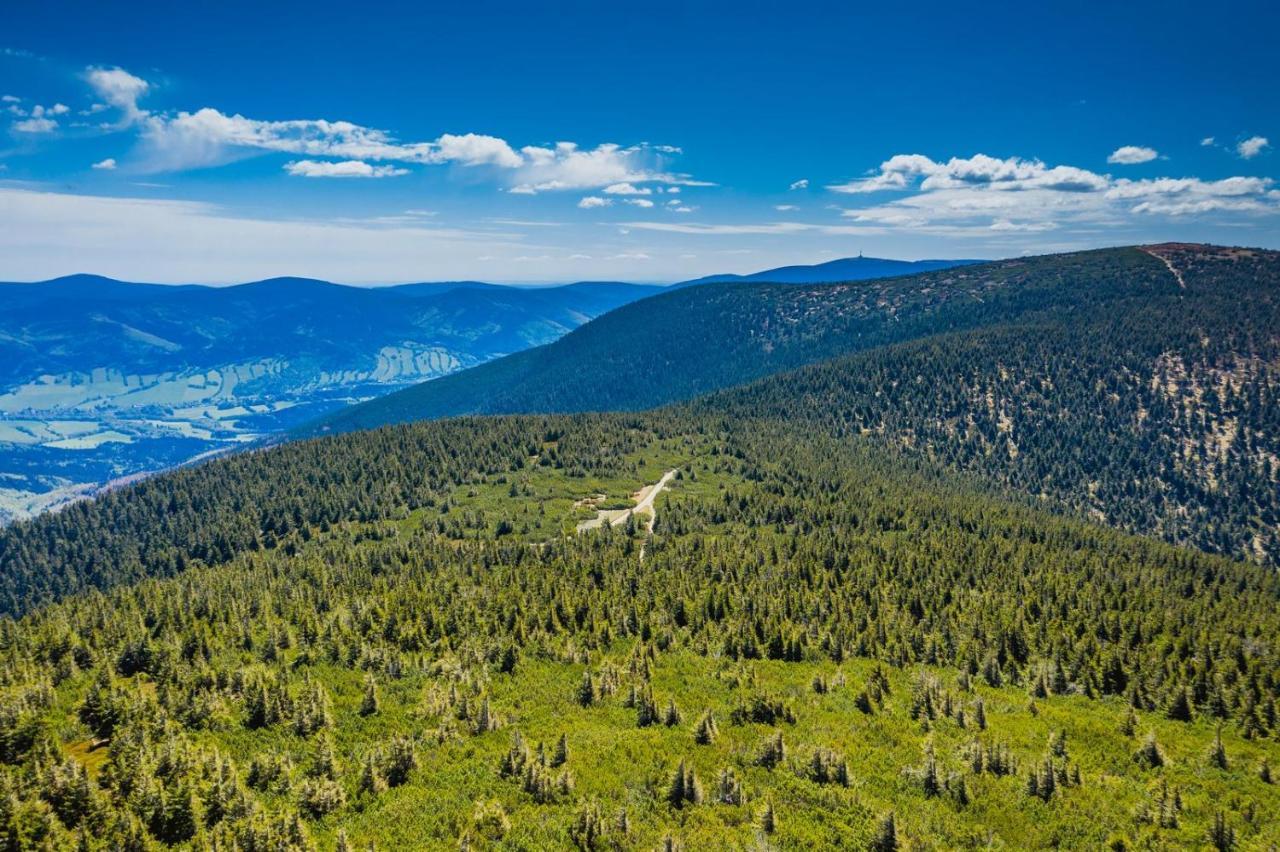 Chata Pod Mravenecnikem Villa Loučná nad Desnou Exteriör bild