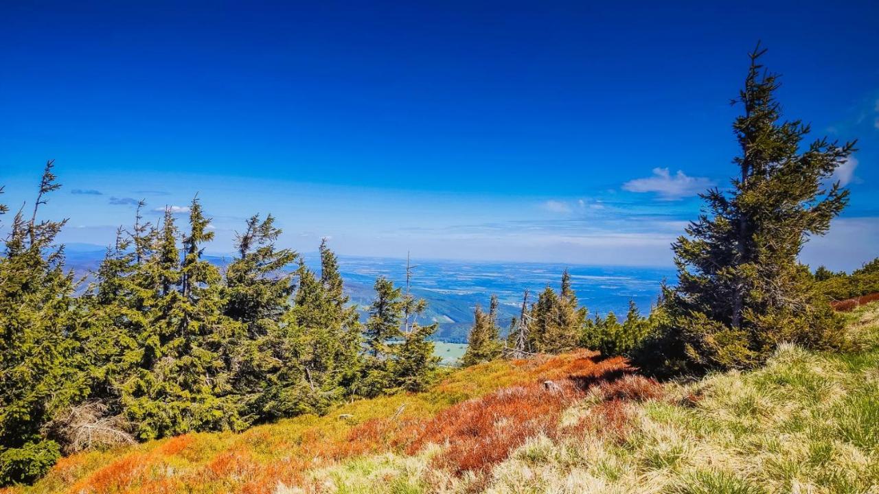 Chata Pod Mravenecnikem Villa Loučná nad Desnou Exteriör bild