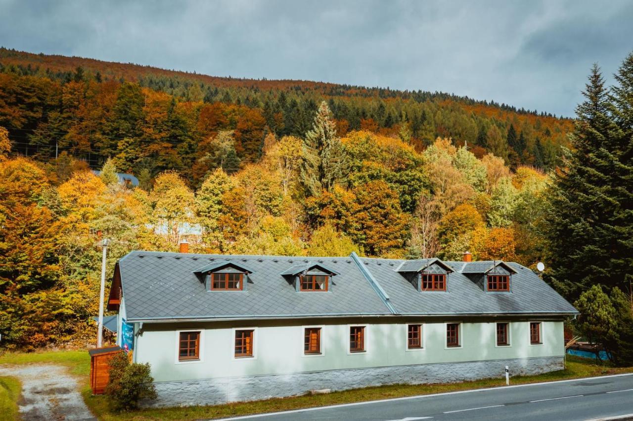 Chata Pod Mravenecnikem Villa Loučná nad Desnou Exteriör bild