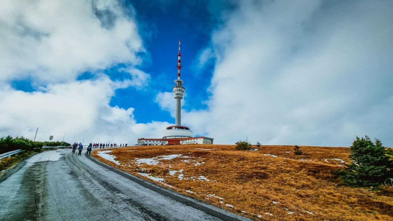 Chata Pod Mravenecnikem Villa Loučná nad Desnou Exteriör bild