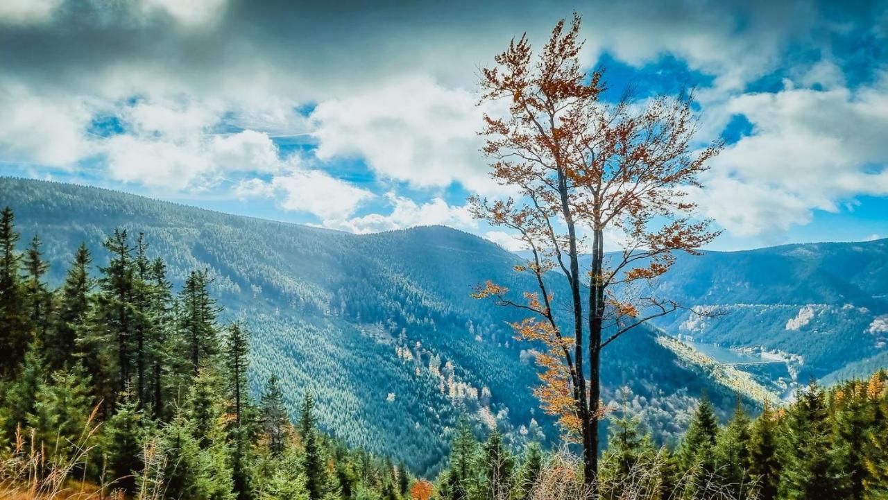 Chata Pod Mravenecnikem Villa Loučná nad Desnou Exteriör bild