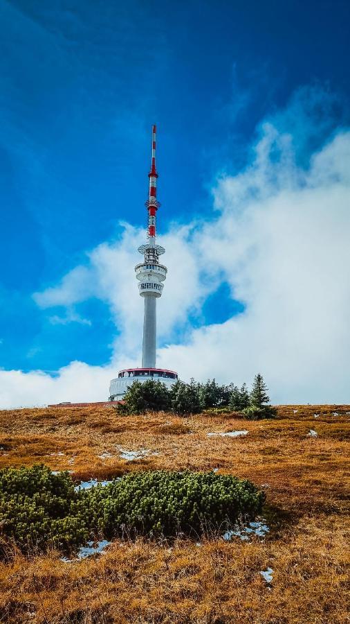 Chata Pod Mravenecnikem Villa Loučná nad Desnou Exteriör bild