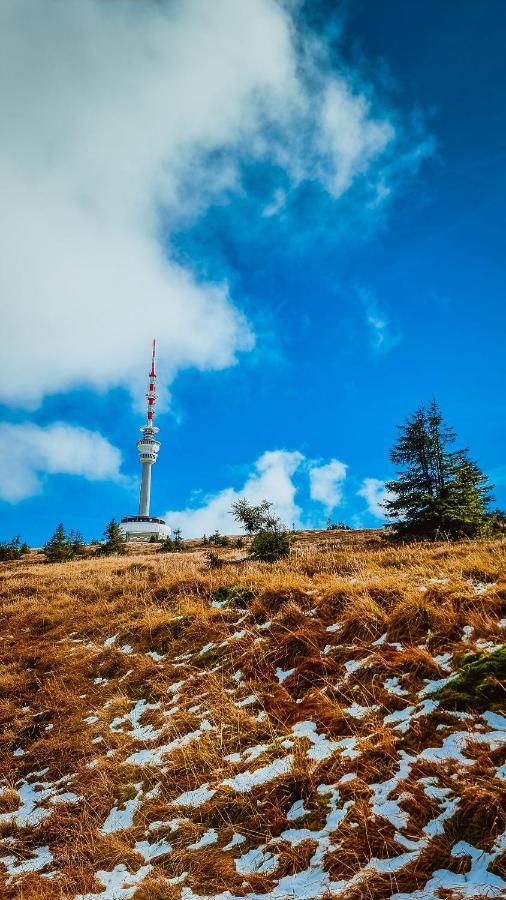 Chata Pod Mravenecnikem Villa Loučná nad Desnou Exteriör bild