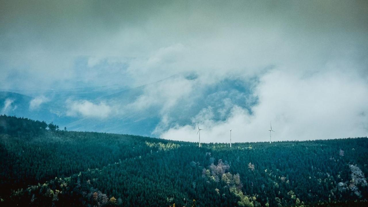 Chata Pod Mravenecnikem Villa Loučná nad Desnou Exteriör bild