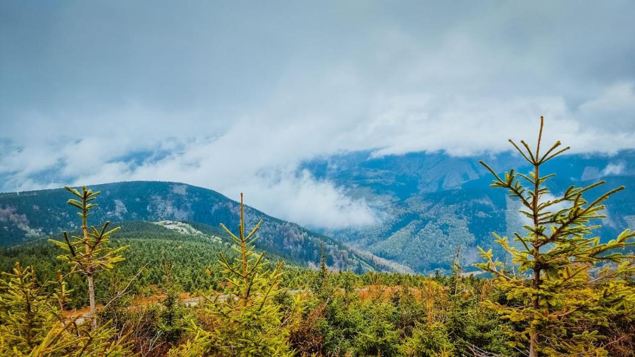 Chata Pod Mravenecnikem Villa Loučná nad Desnou Exteriör bild