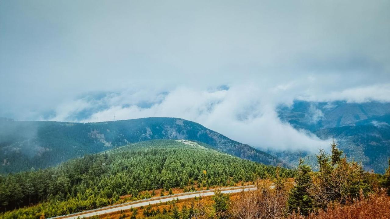 Chata Pod Mravenecnikem Villa Loučná nad Desnou Exteriör bild